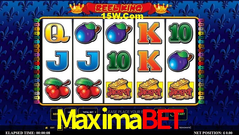Security Systems Maximabet