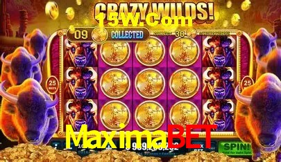 Maximabet Salvador - Football